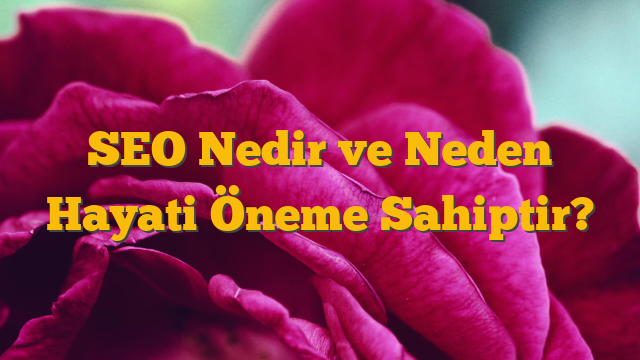 SEO Nedir ve Neden Hayati Öneme Sahiptir?