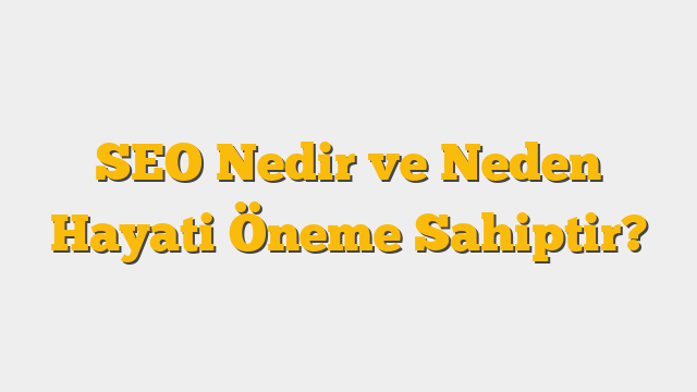 SEO Nedir ve Neden Hayati Öneme Sahiptir?