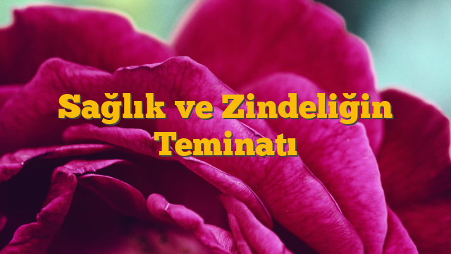 Sağlık ve Zindeliğin Teminatı