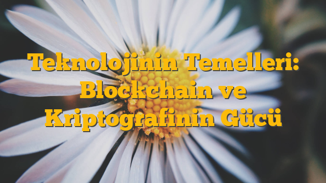 Teknolojinin Temelleri: Blockchain ve Kriptografinin Gücü