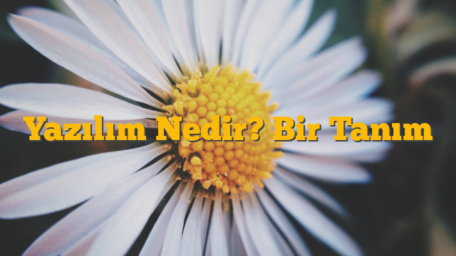 Yazılım Nedir? Bir Tanım