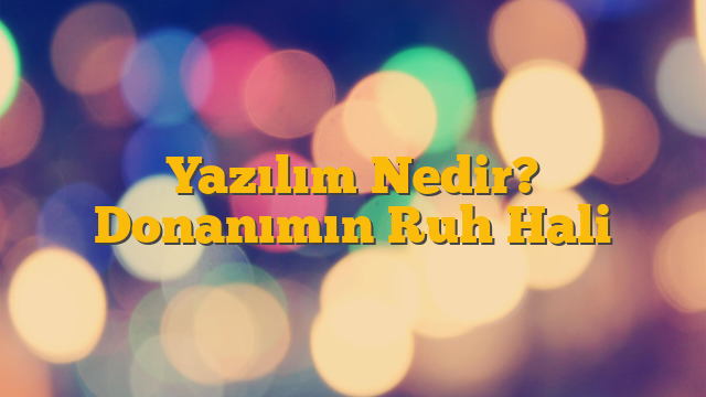 Yazılım Nedir? Donanımın Ruh Hali