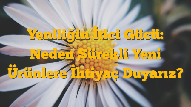 Yeniliğin İtici Gücü: Neden Sürekli Yeni Ürünlere İhtiyaç Duyarız?