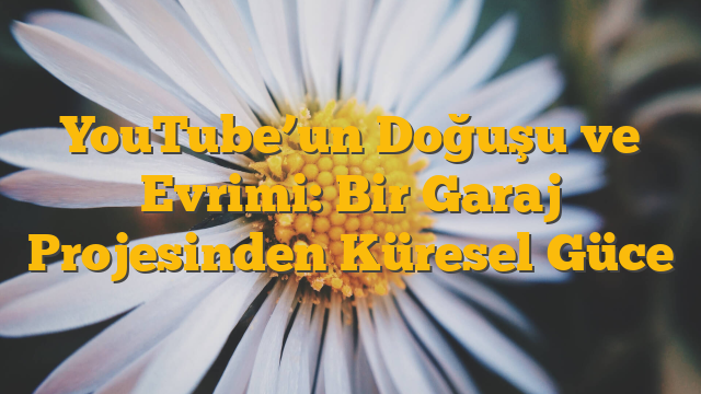 YouTube’un Doğuşu ve Evrimi: Bir Garaj Projesinden Küresel Güce