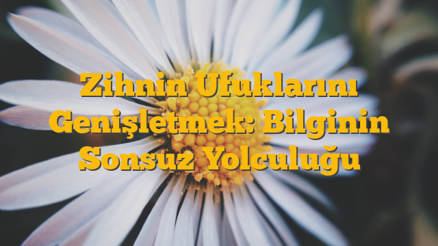 Zihnin Ufuklarını Genişletmek: Bilginin Sonsuz Yolculuğu
