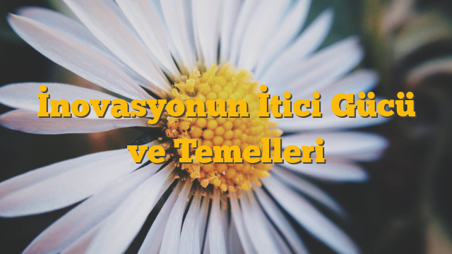 İnovasyonun İtici Gücü ve Temelleri