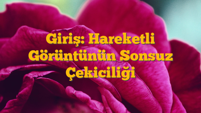 Giriş: Hareketli Görüntünün Sonsuz Çekiciliği