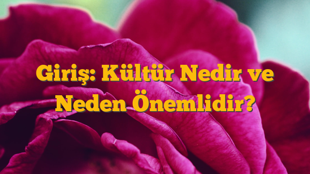 Giriş: Kültür Nedir ve Neden Önemlidir?