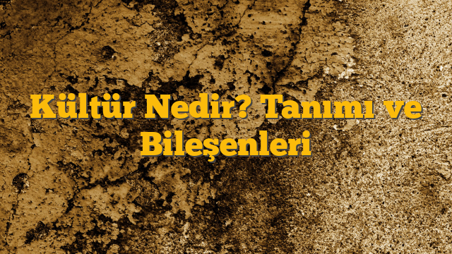 Kültür Nedir? Tanımı ve Bileşenleri